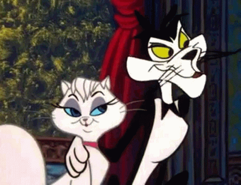 Gay Purree El Gato Meme GIF