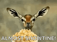 Gazelle Eating Popcorn Almost Showtime