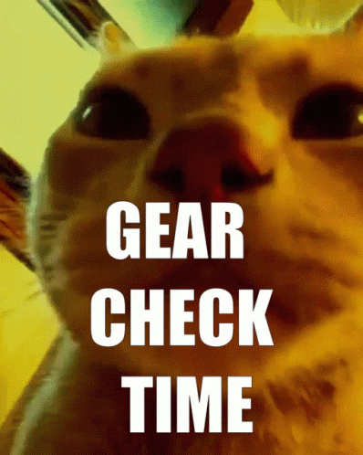 Gear Check Time Cat GIF