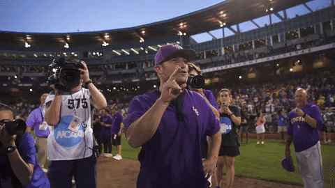 Geaux Tigers Baseball Celebratory Hug GIF