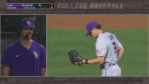 Geaux Tigers Baseball On Screen GIF