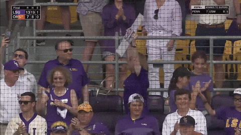 Geaux Tigers Fans Super Placard GIF