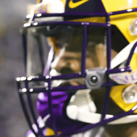 Geaux Tigers Geaux Time GIF