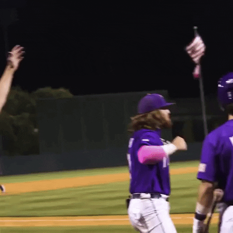 Geaux Tigers Hands Up GIF