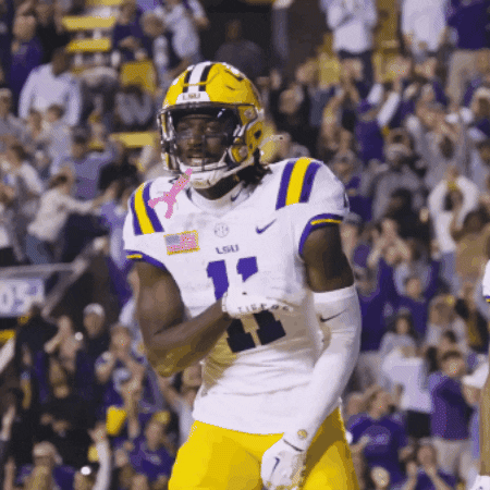 Geaux Tigers Happy Brian Thomas Jr. GIF