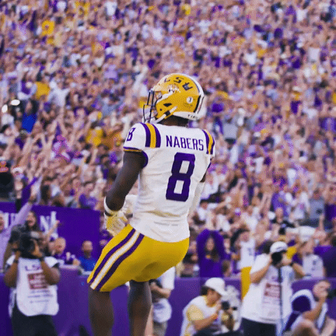 Geaux Tigers Nfl Celebratory Dance GIF