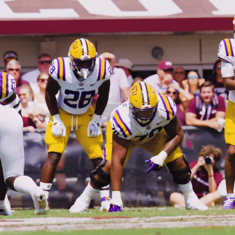 Geaux Tigers Nfl Defending The Ball GIF