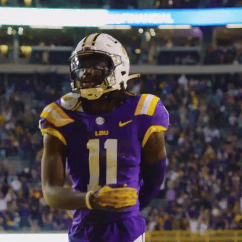Geaux Tigers Sign Of The Cross GIF