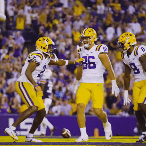Geaux Tigers Skippy Dance Nfl GIF