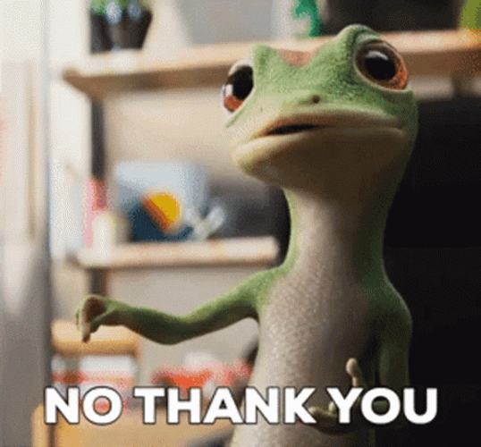 Geico Gecko No Thank You Response GIF