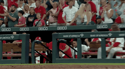 Geico Sponsored Baseball Game GIF