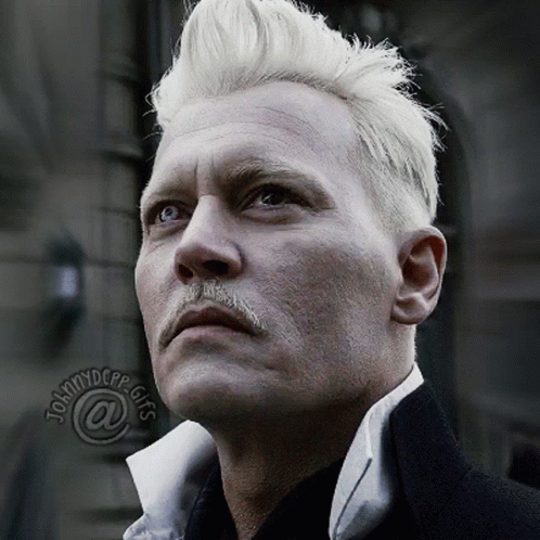 Gellert Grindelwald Stare GIF