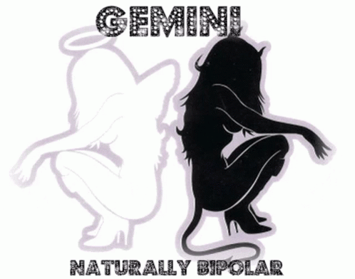 Gemini Naturally Bipolar Sign With Two Silhouettes