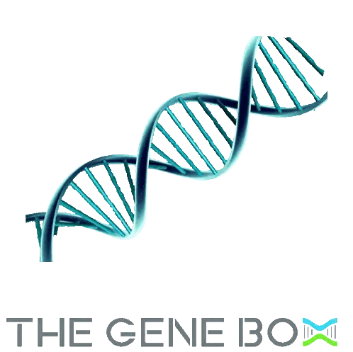 Gene Box Logo With DNA Molecule