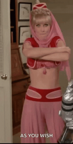 Genie As You Wish GIF