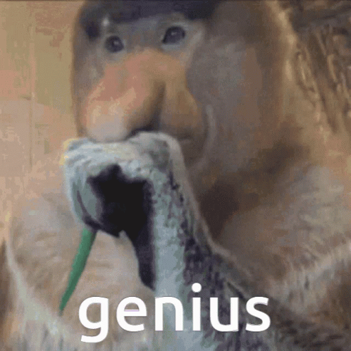 Genius Monkey Big Nose Eating Meme GIF
