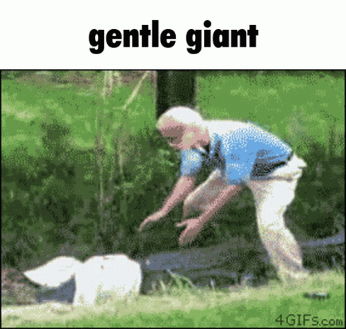 Gentle Giant Man and Dog