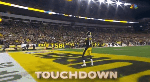 George Pickens Touch Down GIF