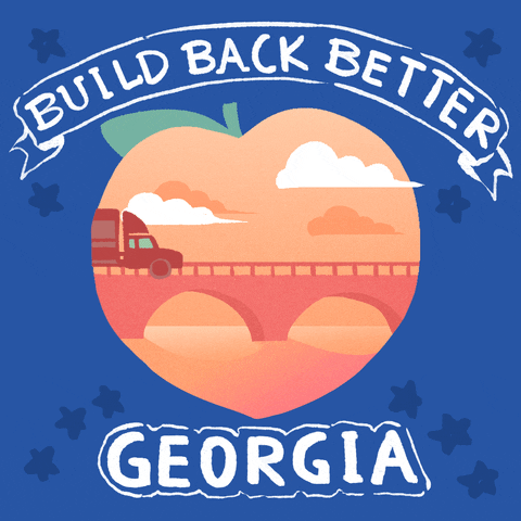Georgia Build Back Together GIF