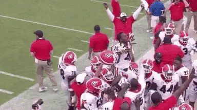 Georgia Bulldogs Cheers Celebration GIF