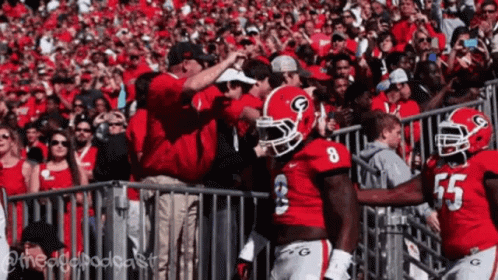 Georgia Bulldogs Team Celebrating GIF