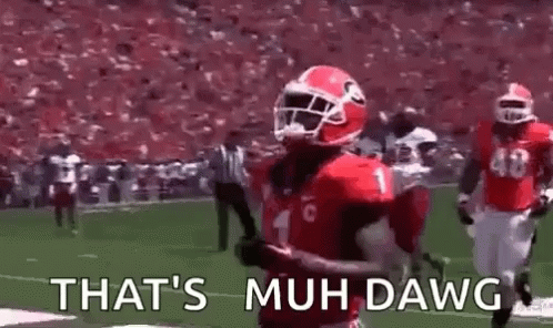 Georgia Bulldogs That's My Dawg GIF