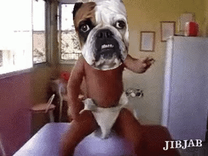Georgia Bulldogs Baby Dance Face Swap GIF