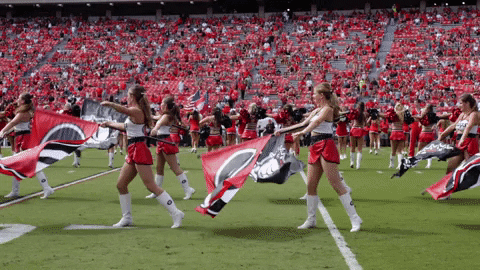 Georgia Bulldogs Cheerleaders Floor Performance GIF