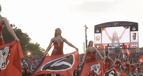 Georgia Bulldogs Cheerleaders Performance GIF