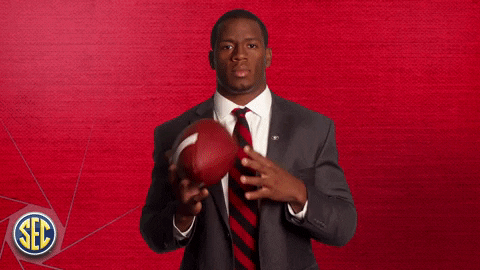 Georgia Bulldogs College Football GIF