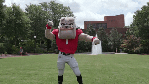 Georgia Bulldogs Elated Uga Mascot GIF