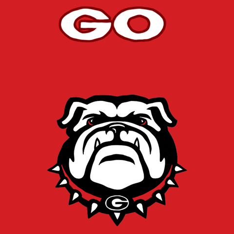 Georgia Bulldogs Go Dawgs Go Vote GIF