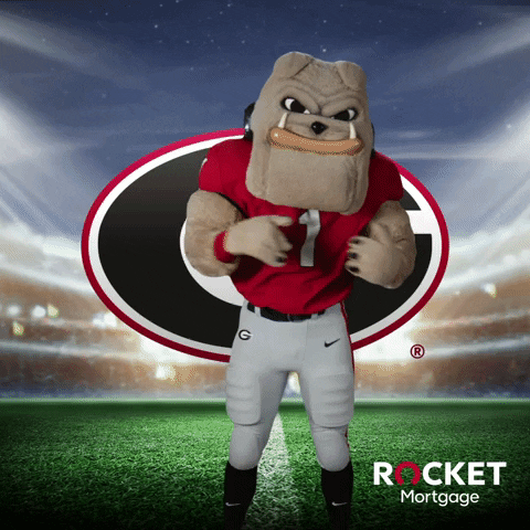 Georgia Bulldogs Lets Go Uga Dawgs GIF