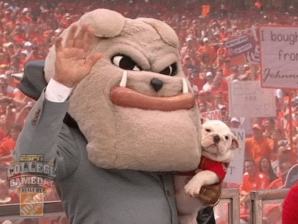 Georgia Bulldogs Mascot Cuddling Uga Bulldog GIF