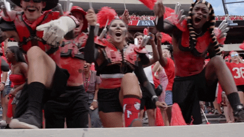 Georgia Bulldogs Over Excited Fans GIF