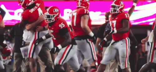Georgia Bulldogs Solid Team Spirit GIF