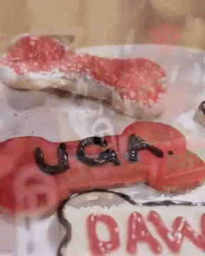 Georgia Bulldogs Uga Dog Treats GIF