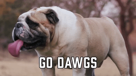 Georgia Bulldogs Uga Go Dawgs GIF