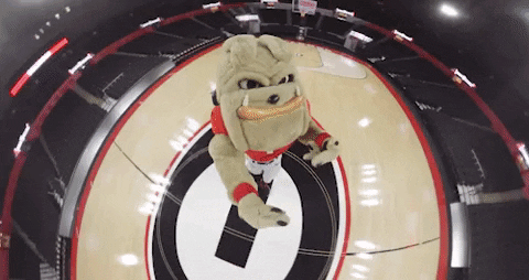 Georgia Bulldogs Uga Mascot Rotating Camera GIF