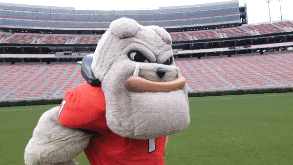 Georgia Bulldogs Uga Mascot Thinking GIF