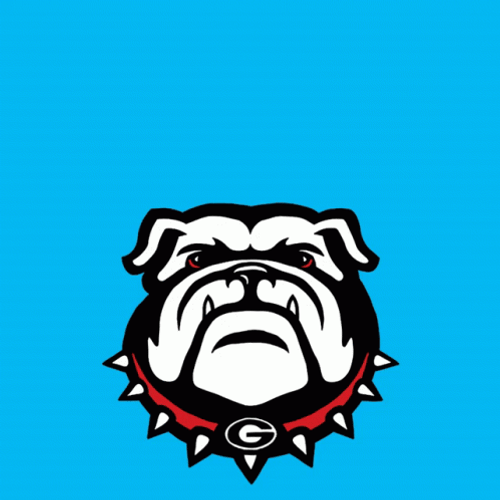 Georgia Bulldogs Vote Early Moving Art GIF