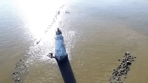 Georgia Isolated Lighthouse GIF