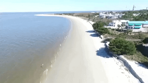 Georgia Long Island Beach GIF