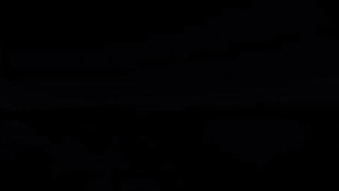 Georgia Port Area GIF