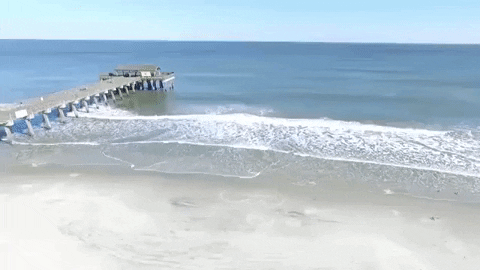 Georgia Small Boardwalk GIF