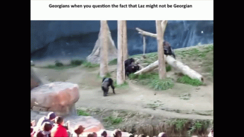 Georgians Question Laz's Georgian Identity GIF