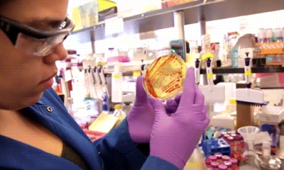 Germs Examination Test GIF