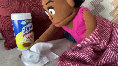 Germs Lysol Clean Up GIF