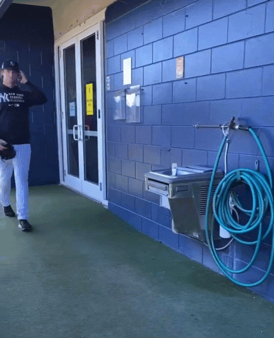 Gerrit Cole Hello GIF