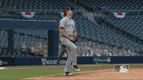Gerrit Cole Jumping Happily GIF
